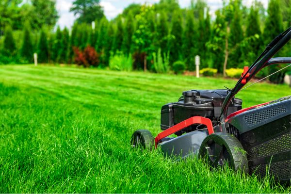 lawn mowing
